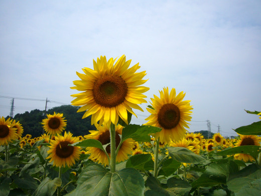 659364 (a): :1600x1200